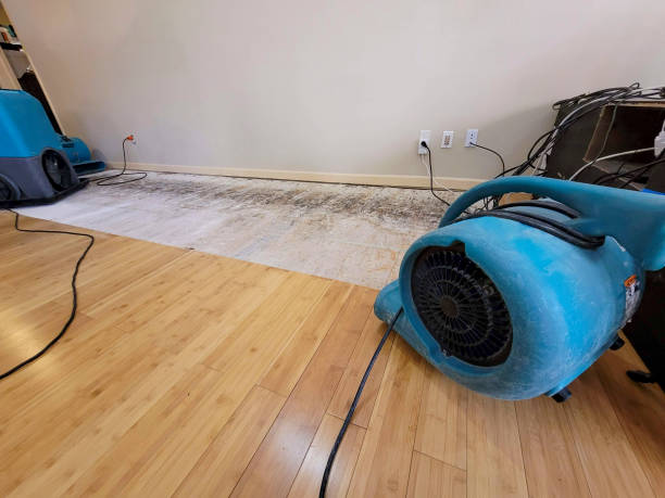 Professional Water Damage Repair technician working in Sunland, CA